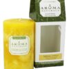 Comprar ambiente naturalmente misturado pilar eco-vela laranja & lemongrass - 1 conte aroma naturals preço no brasil aromaterapia óleo de rícino suplemento importado loja 9 online promoção -