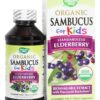 Comprar sambucus orgânico para crianças sabugueiro xarope - 4 fl. Oz. Nature's way preço no brasil bladderwrack ervas suplemento importado loja 11 online promoção -