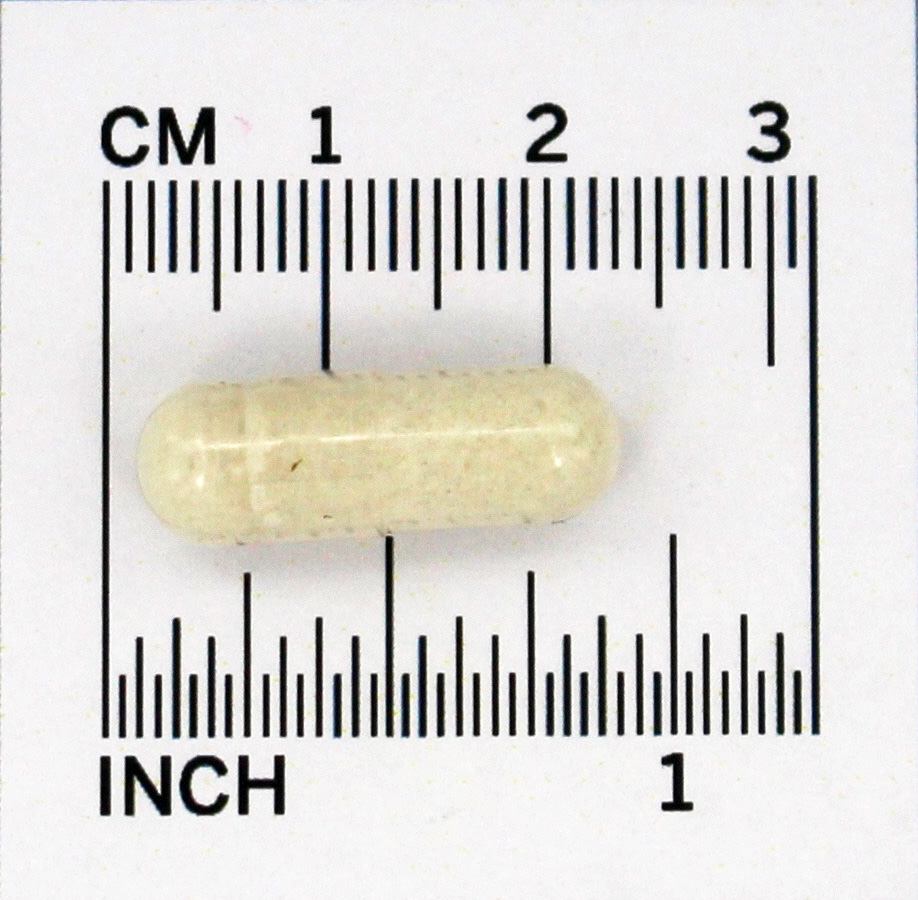 Reguladores NAC Detox 600 mg . - 60 Cápsula (s) vegetal (s) Doctor's Best - Imagem 4
