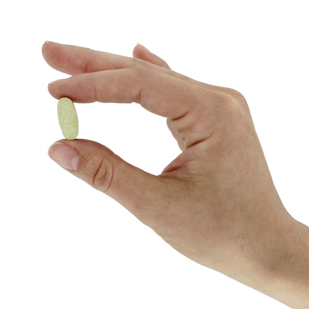 Absorção máxima da fórmula óssea de cálcio vivo 1300 mg . - 120 Tablets Nature's Way - Imagem 6