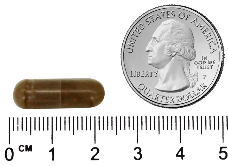 Moringa Superfood 5000 mg. - Cápsulas vegetarianas 90 Bio Nutrition - Imagem 5