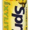 Comprar spry mints com xylitol lemonburst - 45 contagem xlear preço no brasil alimentos & lanches farinhas suplemento importado loja 7 online promoção -