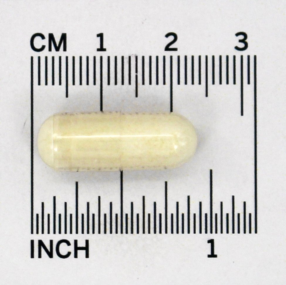 100 % Pure Cartilagem de Tubarão 750 mg. - Cápsulas 90 Solgar - Imagem 5