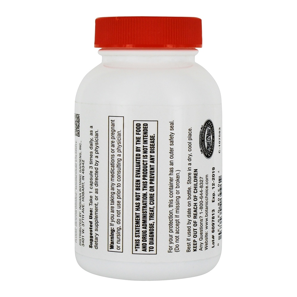 Cúrcuma Excelente Antioxidante 500 mg. - Cápsulas 90 Botanic Choice - Imagem 3