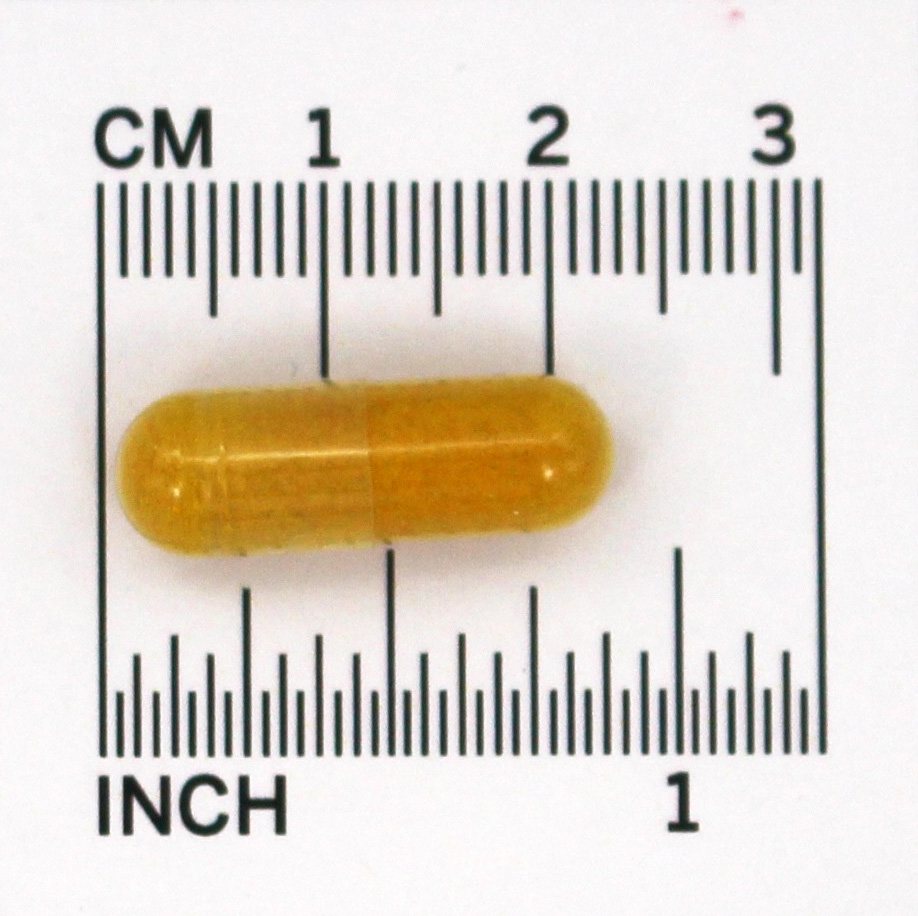 Cúrcuma Excelente Antioxidante 500 mg. - Cápsulas 90 Botanic Choice - Imagem 5