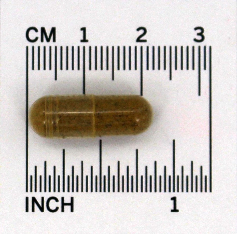 Folha de aloe vera e látex 500 mg. - Cápsulas 90 Botanic Choice - Imagem 5