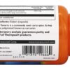Comprar extrato padronizado da curcumina de cúrcuma 300 mg. - cápsulas 60 thompson preço no brasil cúrcuma ervas suplemento importado loja 5 online promoção -