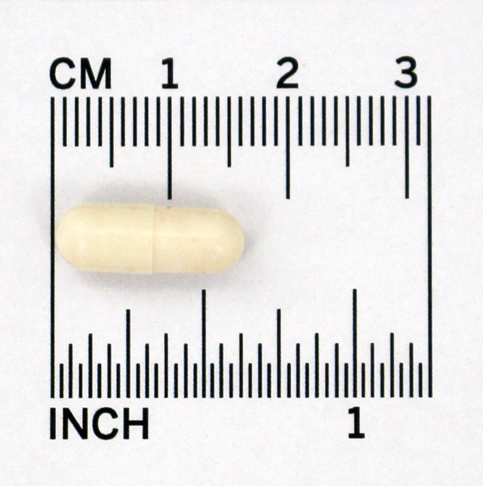Mulheres Fem Dophilu Probiotic Completar - Cápsulas vegetarianas 60 Jarrow Formulas - Imagem 5
