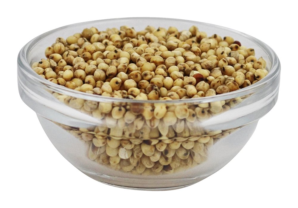 Sorgo Orgânico Sem Glúten Germinado - 16 oz. To Your Health - Imagem 3