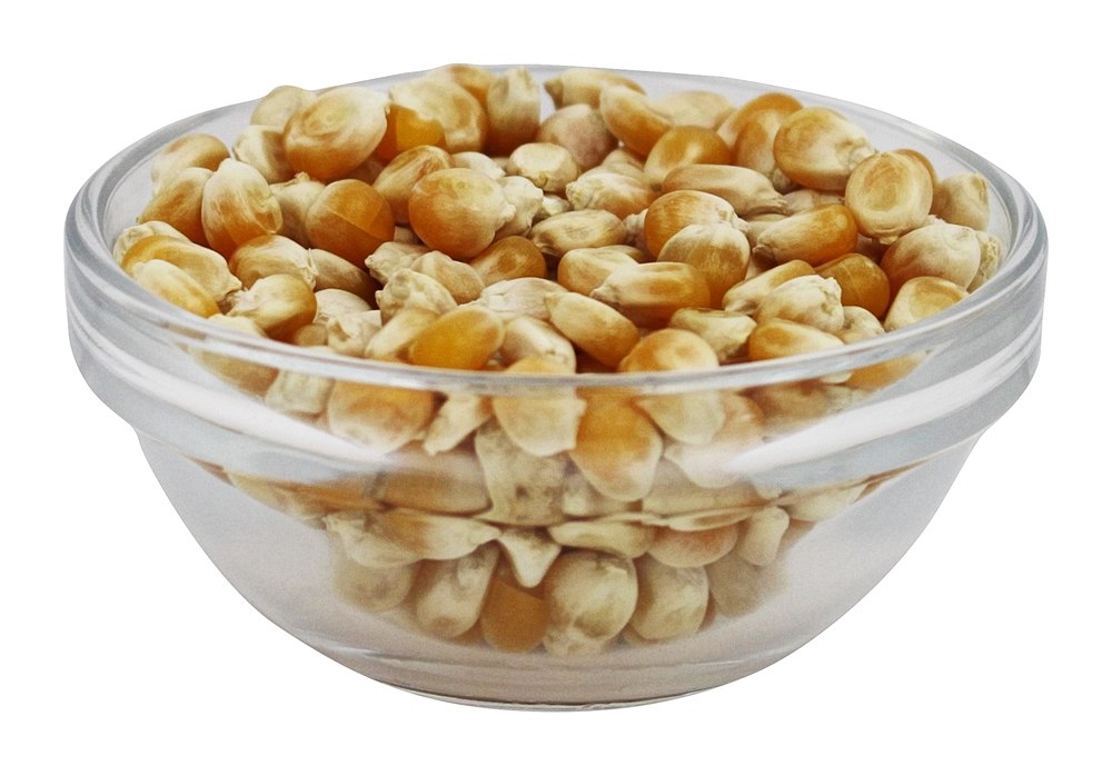 Pipoca Brotada Sem Glúten Orgânica - 16 oz. To Your Health - Imagem 3