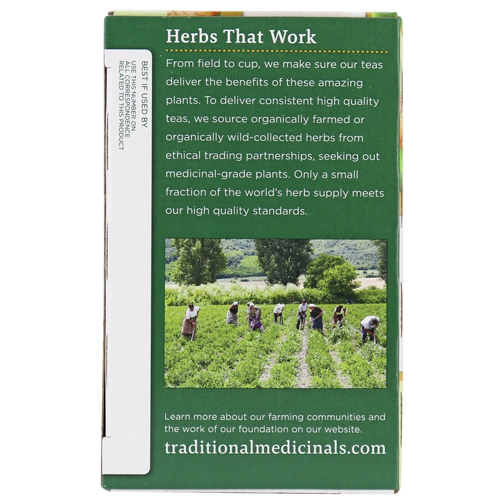 Chá de Cúrcuma Orgânico com Meadowsweet e Gengibre - 16 Saquinhos de Chá Traditional Medicinals - Imagem 4