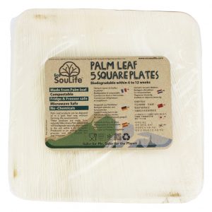 Comprar pratos em folha de palmeira - 5 peça (s) ecosoulife preço no brasil detergente para roupas produtos naturais para o lar suplemento importado loja 83 online promoção -