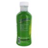 Comprar clorofila líquida sabor canela & menta - 16. 2 fl. Oz. Nature's life preço no brasil clorofila suplementos nutricionais suplemento importado loja 5 online promoção -