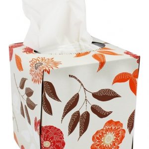 Comprar 100 % de tecidos faciais reciclados de 2 camadas - 85 tecido (s) natural value preço no brasil detergente para roupas produtos naturais para o lar suplemento importado loja 27 online promoção -
