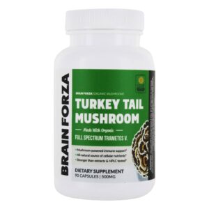 Comprar cogumelo turkey tail orgânico - cápsulas 90 brain forza preço no brasil suplementos nutricionais suporte imune suplemento importado loja 47 online promoção -