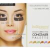 Comprar paleta de corretivo para correção de cores bellapierre preço no brasil cuidados pessoais & beleza primers rosto suplemento importado loja 5 online promoção -