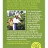 Comprar orgânico pequeno agricultores grande mudar verde chá - 20 saquinhos de chá equal exchange preço no brasil chás e café chás verdes suplemento importado loja 5 online promoção -