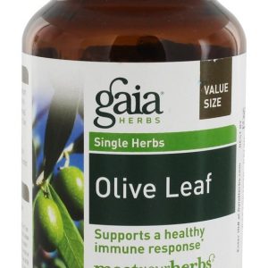 Comprar resposta imune saudável da folha de azeitona 680 mg. - 120 tampas veganas gaia herbs preço no brasil ervas folha de oliveira suplemento importado loja 27 online promoção -
