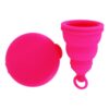 Comprar lily cup one a perfect starter cup intimina preço no brasil copos menstruais cuidados pessoais & beleza suplemento importado loja 3 online promoção -