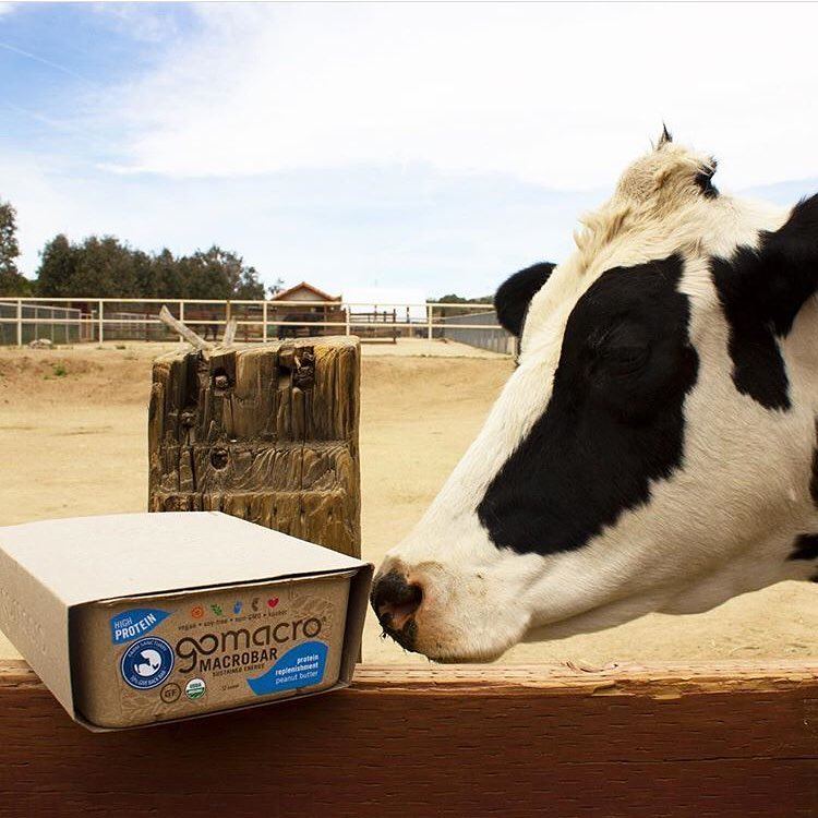 Organic MacroBar Box Blissful Amanhecer Mirtilo + Caju - 12 Barras GoMacro - Imagem 8