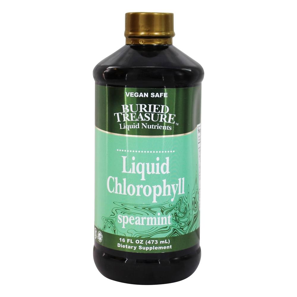 Hortelã Clorofila Líquida - 16 fl. oz. Buried Treasure Products