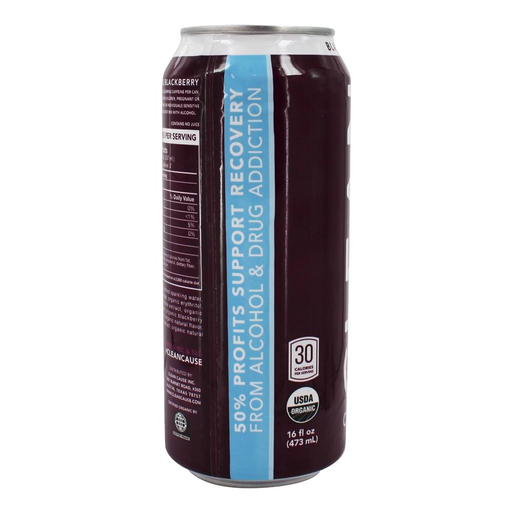 Yerba Mate Espumante Blackberry - 16 fl. oz. Clean Cause - Imagem 4