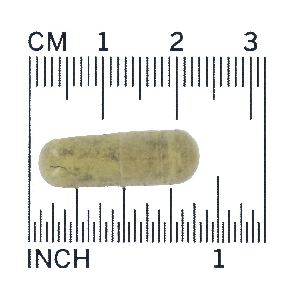 Fórmula de saúde cerebral do extrato de Bacopa 450 mg . - 90 Cápsula (s) vegetal (s) NOW Foods - Imagem 4
