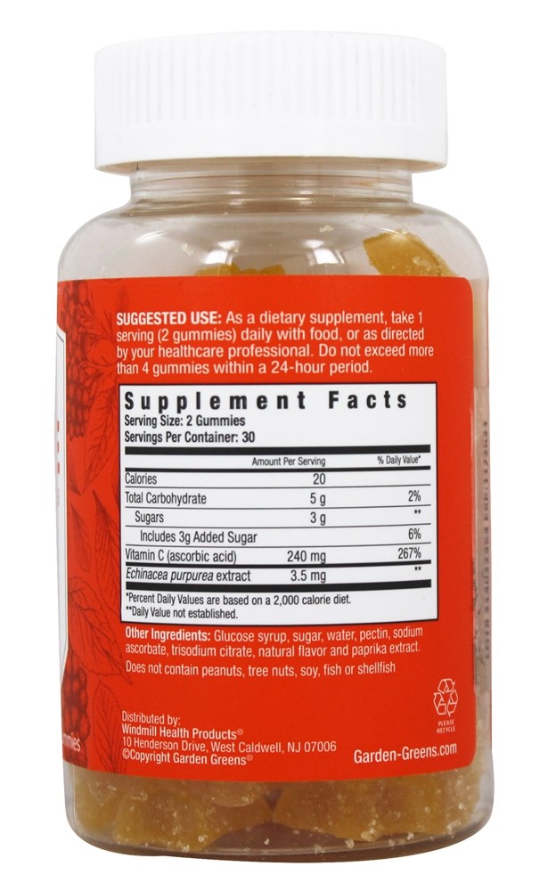 Vitamina C imune 240mg e Echinacea Daily Support Orange - 60 Gummies Garden Greens - Imagem 2