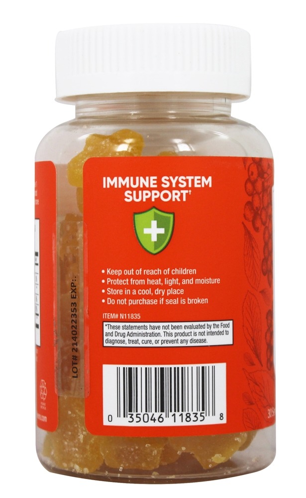 Vitamina C imune 240mg e Echinacea Daily Support Orange - 60 Gummies Garden Greens - Imagem 3