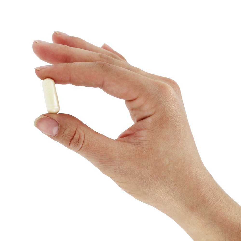 Colostro 500 mg. - Cápsulas 120 NOW Foods - Imagem 5