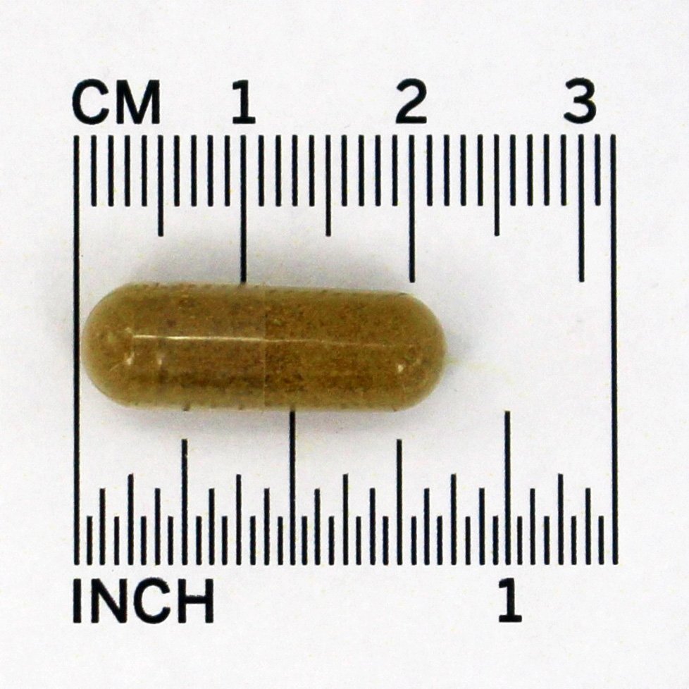 Echinacea e Goldenseal Raiz 225 mg. - Cápsulas 100 NOW Foods - Imagem 4