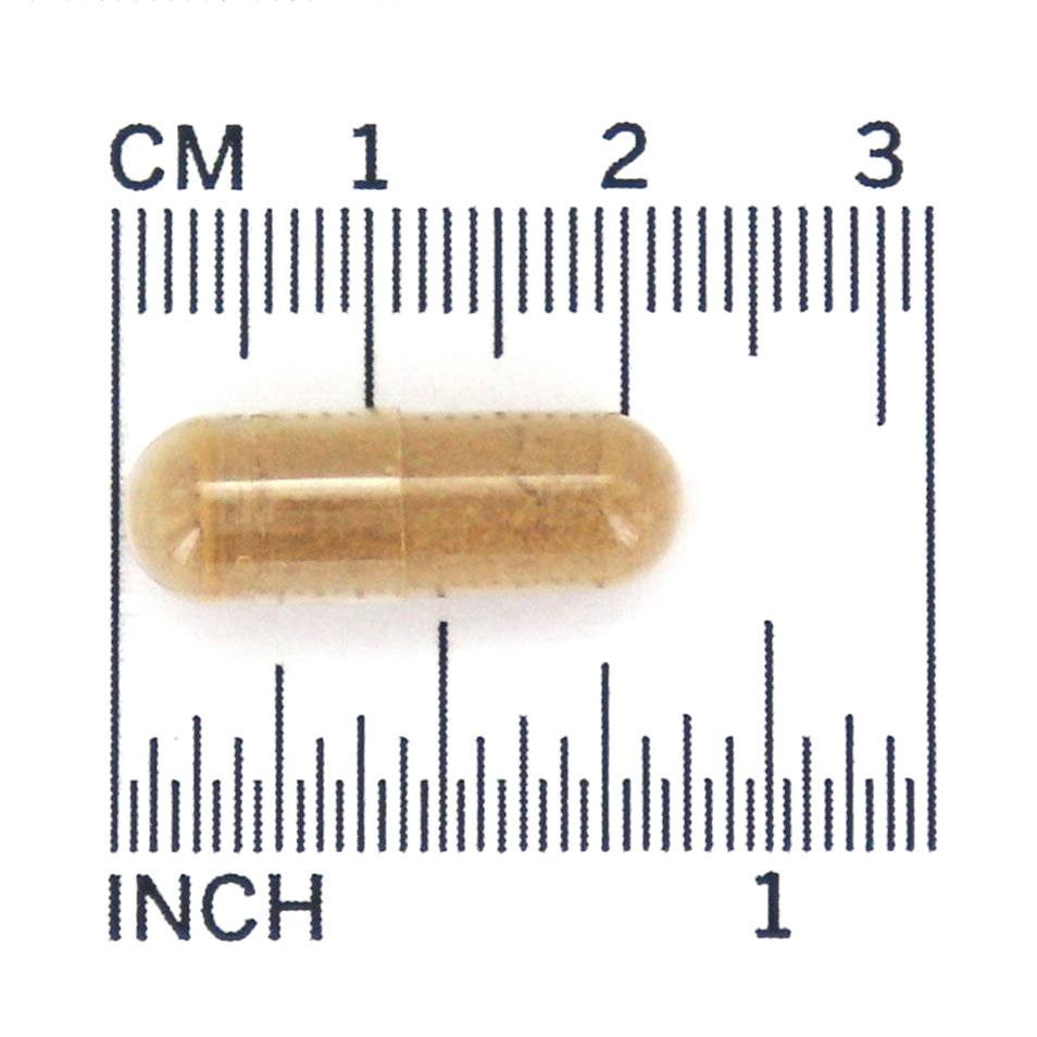 Força dupla de Gingko Biloba 120 mg . - 100 Cápsula (s) vegetal (s) NOW Foods - Imagem 4