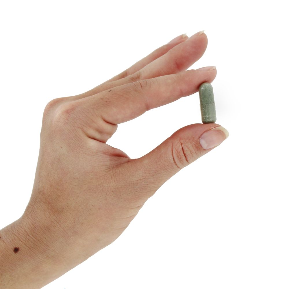 Celadrin & MSM Apoio Avançado Para as Articulações 500 mg. - Cápsulas 120 NOW Foods - Imagem 5