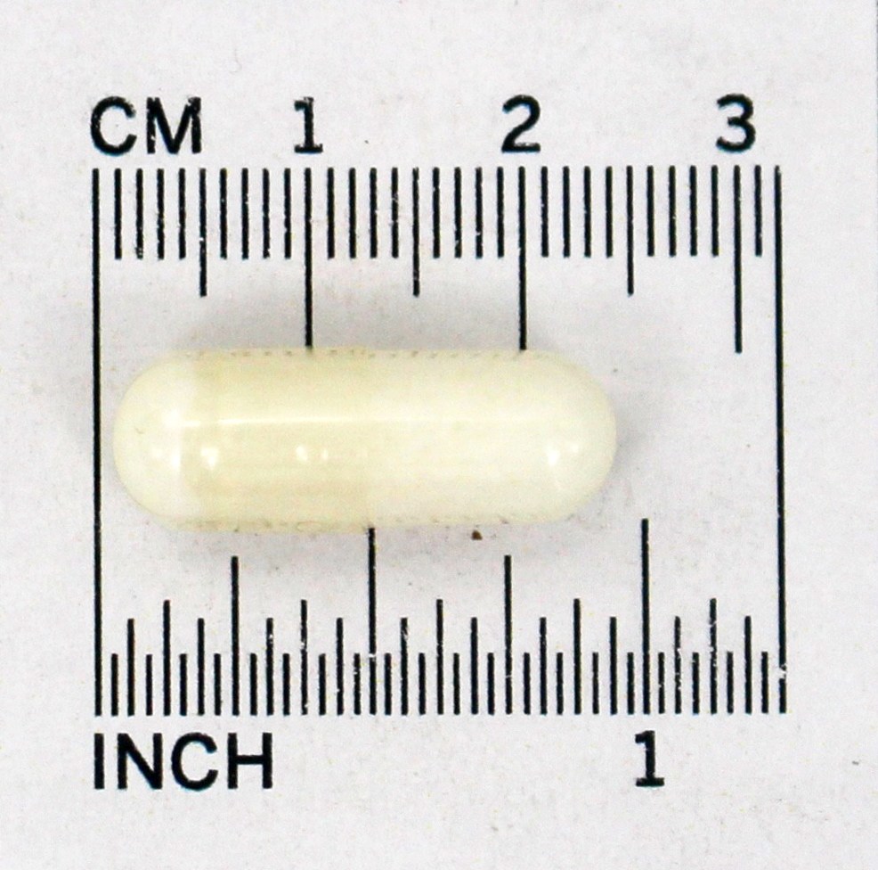 Sulfato de Glucosamina (Suporte Superior Conjunto) 750 mg. - Cápsulas 240 NOW Foods - Imagem 4