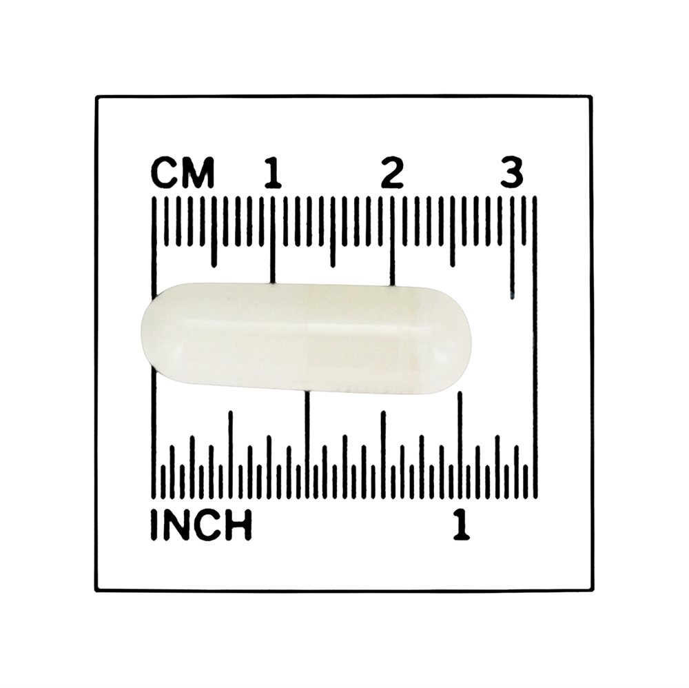 L-Citrulina 750 mg . - 90 Cápsula (s) vegetal (s) NOW Foods - Imagem 4