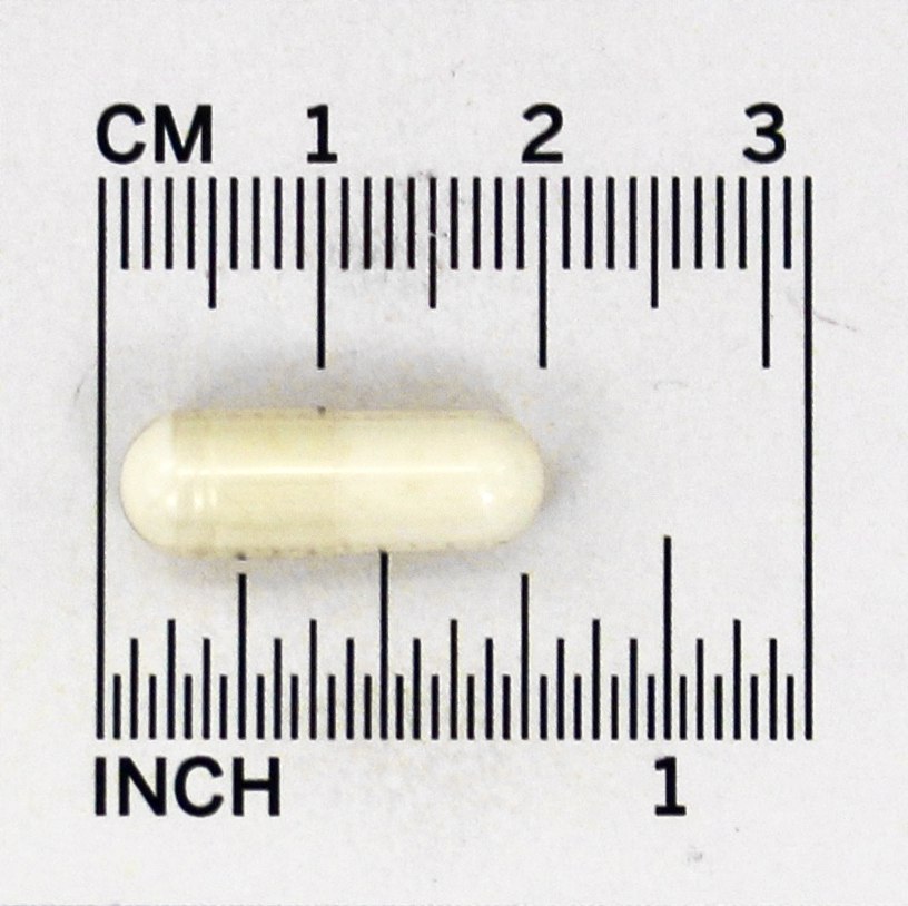 Suplemento probiótico de Kyo-Dophilus 9 - Cápsulas 90 Kyolic - Imagem 4