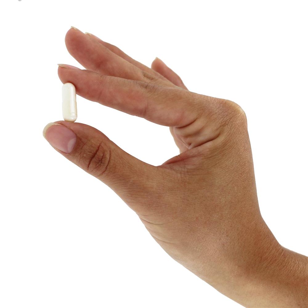 Suplemento probiótico de Kyo-Dophilus 9 - Cápsulas 90 Kyolic - Imagem 5