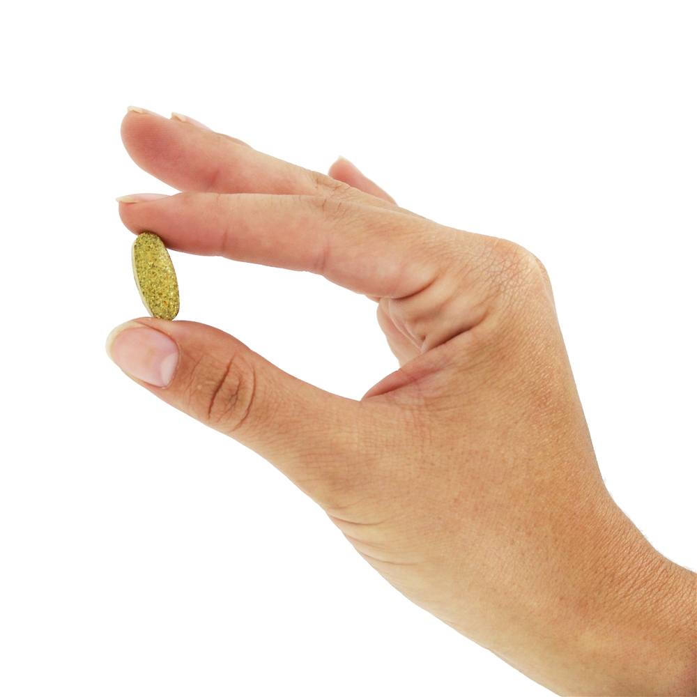 Complexo B Completo - 90 Tablets Rainbow Light - Imagem 5