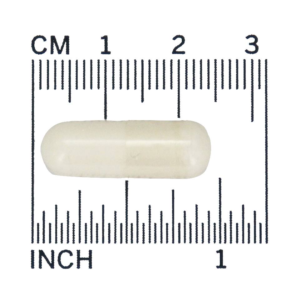 Palmitato de Ascorbil 500 mg . - 100 Cápsula (s) vegetal (s) NOW Foods - Imagem 4