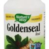 Comprar raiz goldenseal 570 mg. - cápsulas vegetarianas 100 nature's way preço no brasil ervas raiz-amarela (goldenseal) suplemento importado loja 1 online promoção -