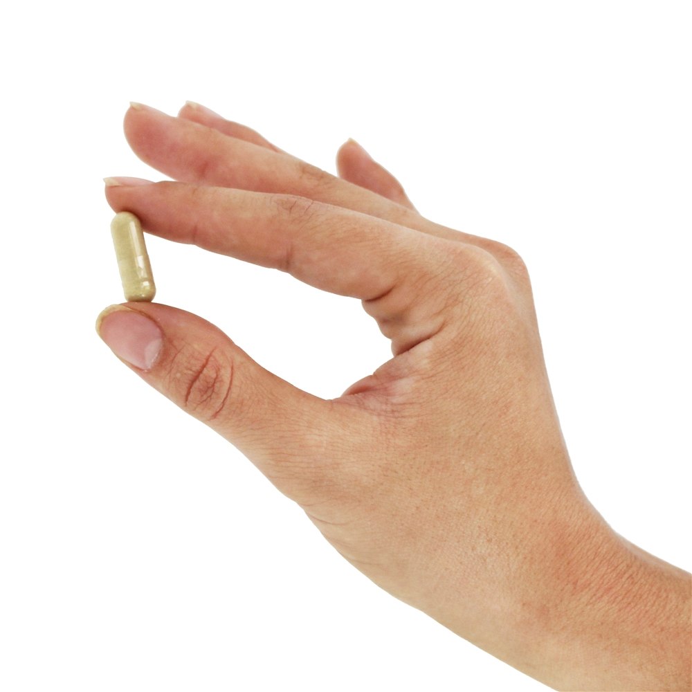 Cardo de leite silimarino com dupla força de alcachofra e dente de leão 300 mg . - 100 Cápsula (s) vegetal (s) NOW Foods - Imagem 5