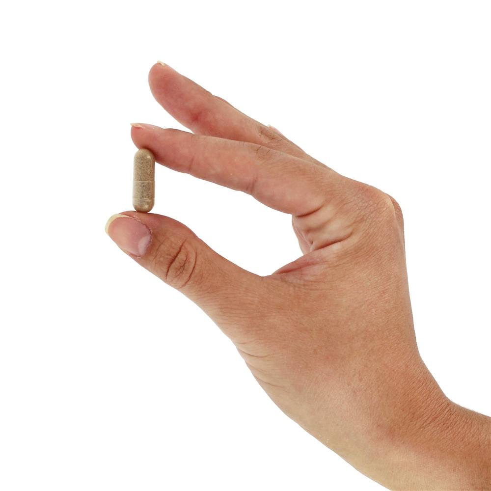 Bagas de Hawthorn 1530 mg. - Cápsulas Vegan 180 Nature's Way - Imagem 5