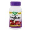 Comprar extrato padronizado de hawthorn - cápsulas 90 nature's way preço no brasil ervas olmo rubra suplemento importado loja 9 online promoção -