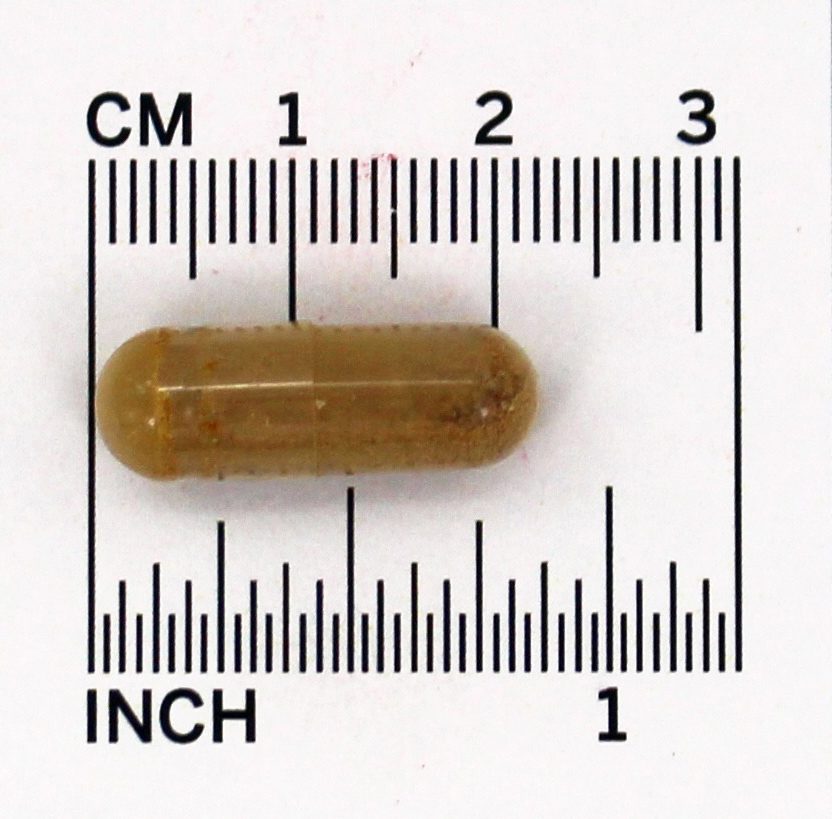Extrato Padronizado de Castanha da Índia - Cápsulas 90 Nature's Way - Imagem 4