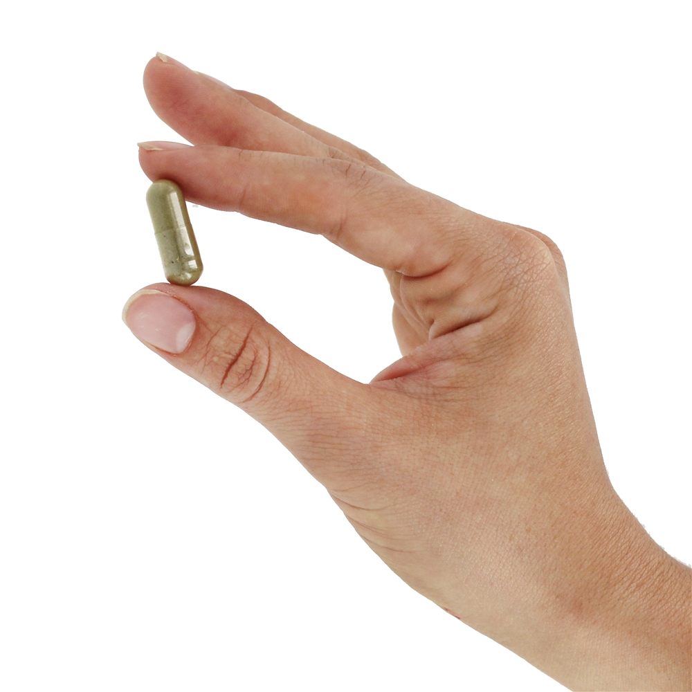 Grama de Cavalinha 440 mg. - Cápsulas vegetarianas 100 Nature's Way - Imagem 5