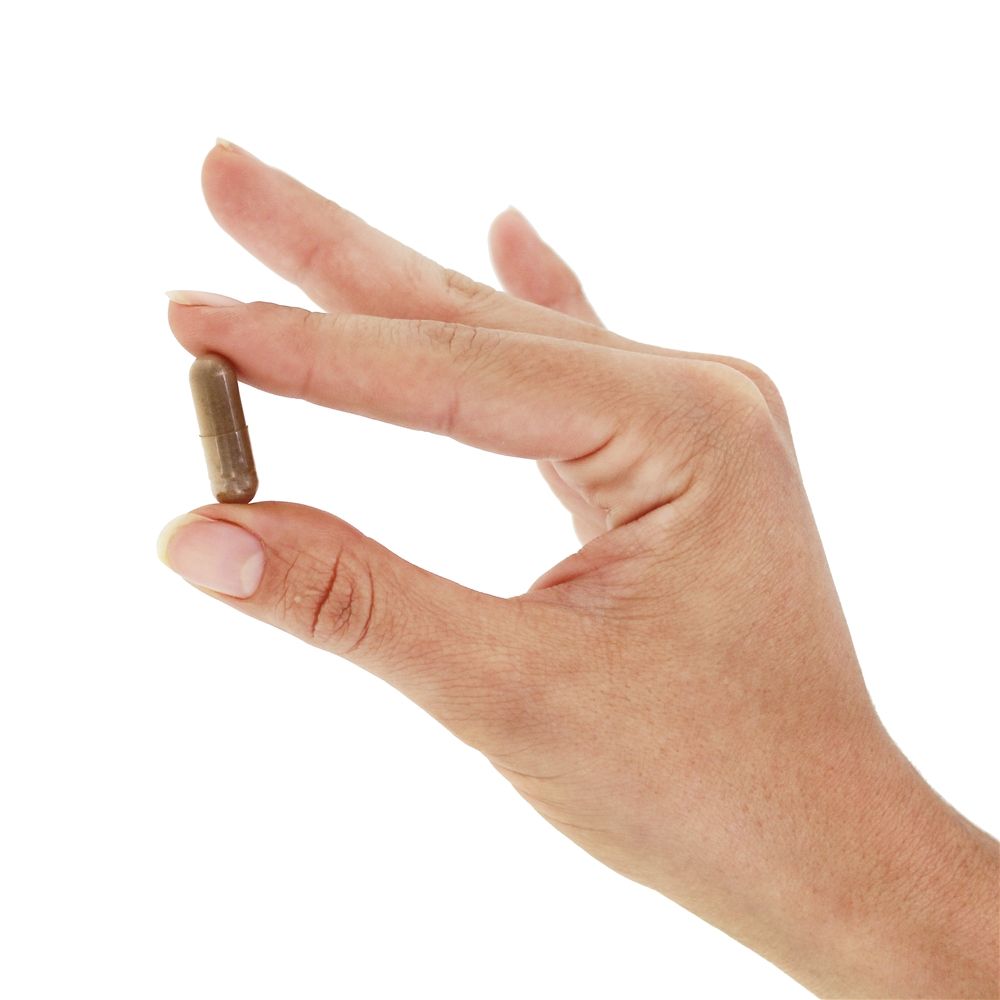 Frutos de Saw Palmetto para a Saúde Masculina 550 mg. - Cápsulas 100 NOW Foods - Imagem 5