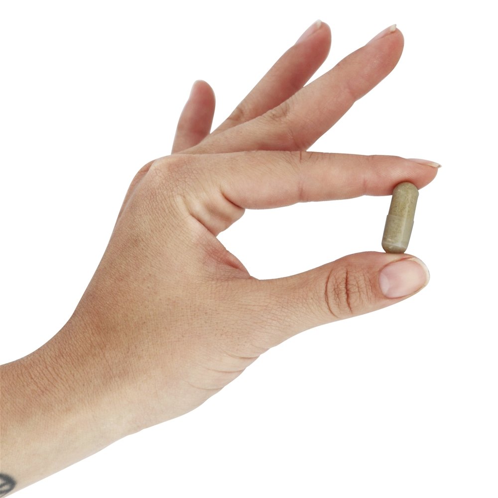 Fórmula de metabolismo saudável Super Citrimax - 90 Cápsula (s) vegetal (s) NOW Foods - Imagem 5