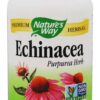 Comprar echinacea purpurea erva 400 mg. - cápsulas vegetarianas 180 nature's way preço no brasil equinácea ervas suplemento importado loja 1 online promoção -