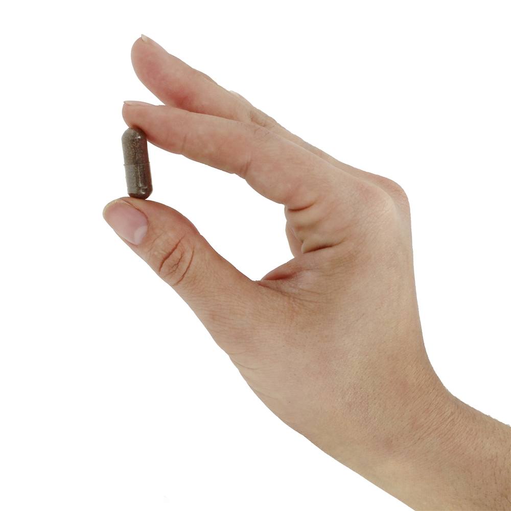 Sabugueiro preto 575 mg. - Cápsulas vegetarianas 100 Nature's Way - Imagem 5