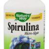 Comprar spirulina micro-algas 380 mg. - cápsulas vegetarianas 100 nature's way preço no brasil glucosamina suplementos nutricionais suplemento importado loja 9 online promoção -